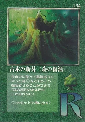 古木の新芽(森の復活)