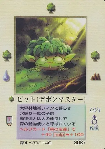 ピット
