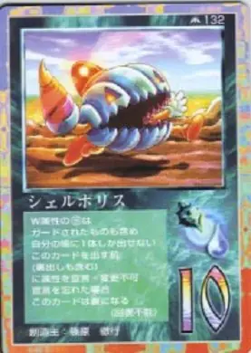 シェルホリス