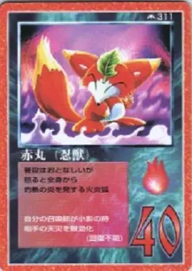 赤丸（忍獣）