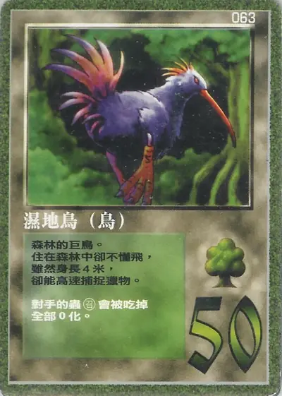 濕地鳥