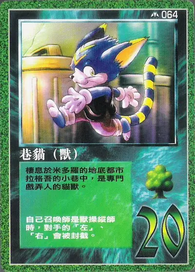 巷貓