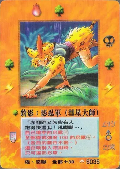 豹影