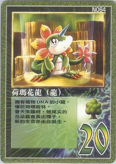 荷瑪花龍